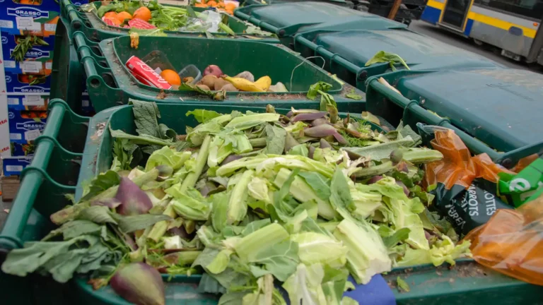 Large bins of food waste from vegetable market